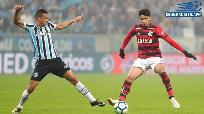 Kèo bóng đá VĐQG Brazil giới thiệu và đặc điểm cá cược